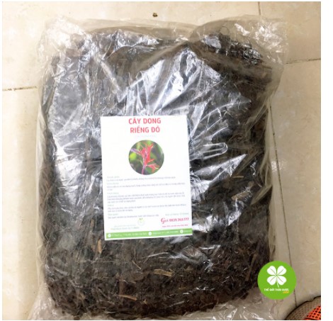 Cây dong riềng đỏ (gói 1kg) - DTX162