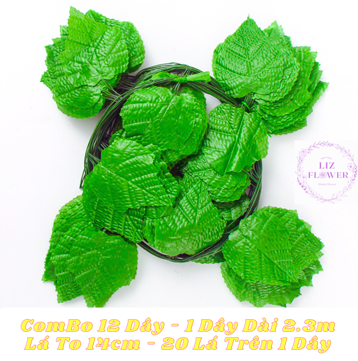 COMBO 12 DÂY LÁ NHO CUỐN XANH CHIỀU DÀI 2m2-2,5m