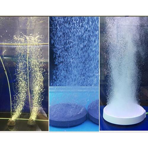 Sủi đĩa oxi siêu mịn size 6cm cho hồ cá cảnh