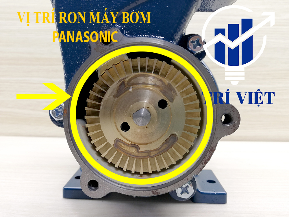 Ron máy bơm panasonic (ron nắp cánh) chính hãng