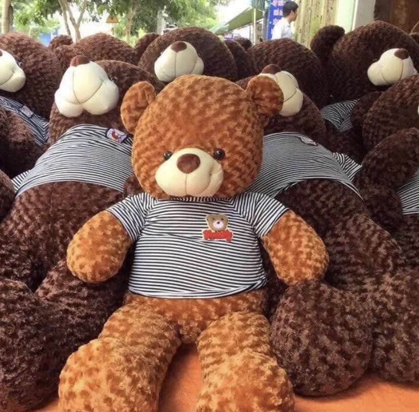 Gấu bông Teddy 🛡𝑯𝒂̀𝒏𝒈 𝑪𝒂𝒐 𝑪𝒂̂́𝒑🛡, gối ôm hình thú nhồi bông siêu to khổng lồ 1m8/1m5/1m3/1m1/90cm