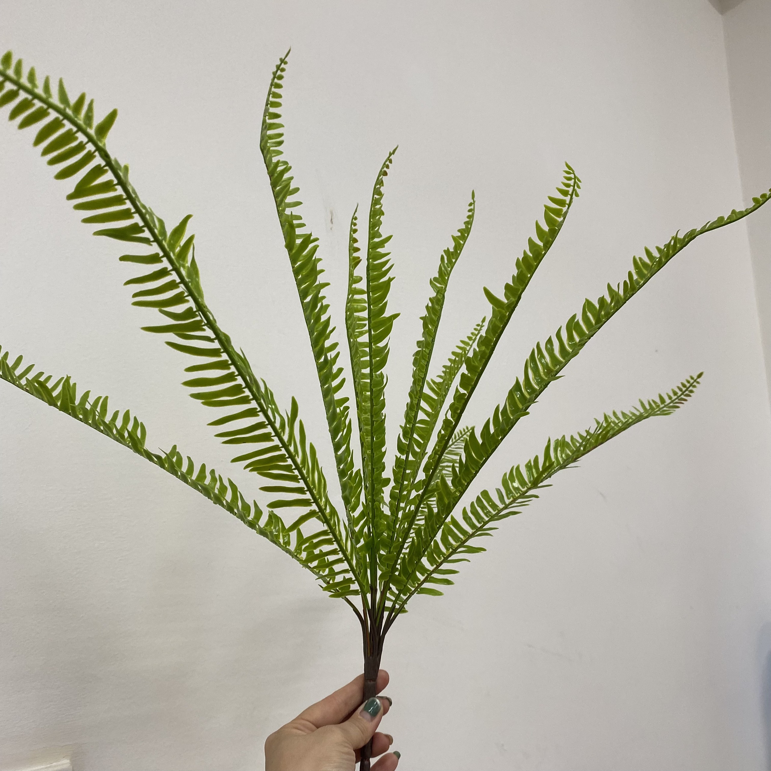 Cành dương sỉ 12 nhánh 075