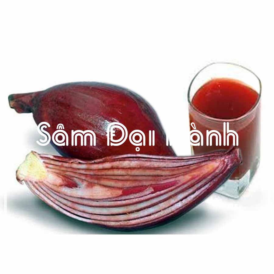 Sâm đại hành khô
