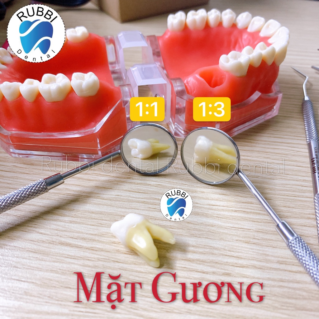 Mặt gương nha khoa