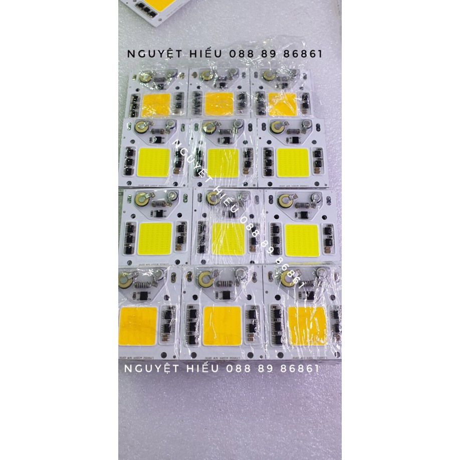 [VN] Nhân chip led 220V-50W