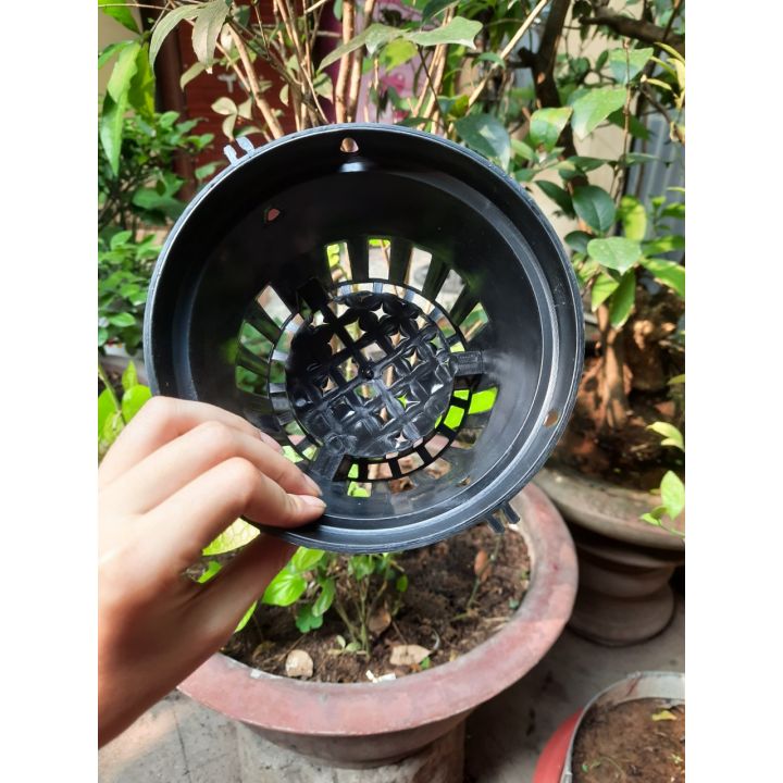 10 Chậu nhựa đen trồng lan đủ size