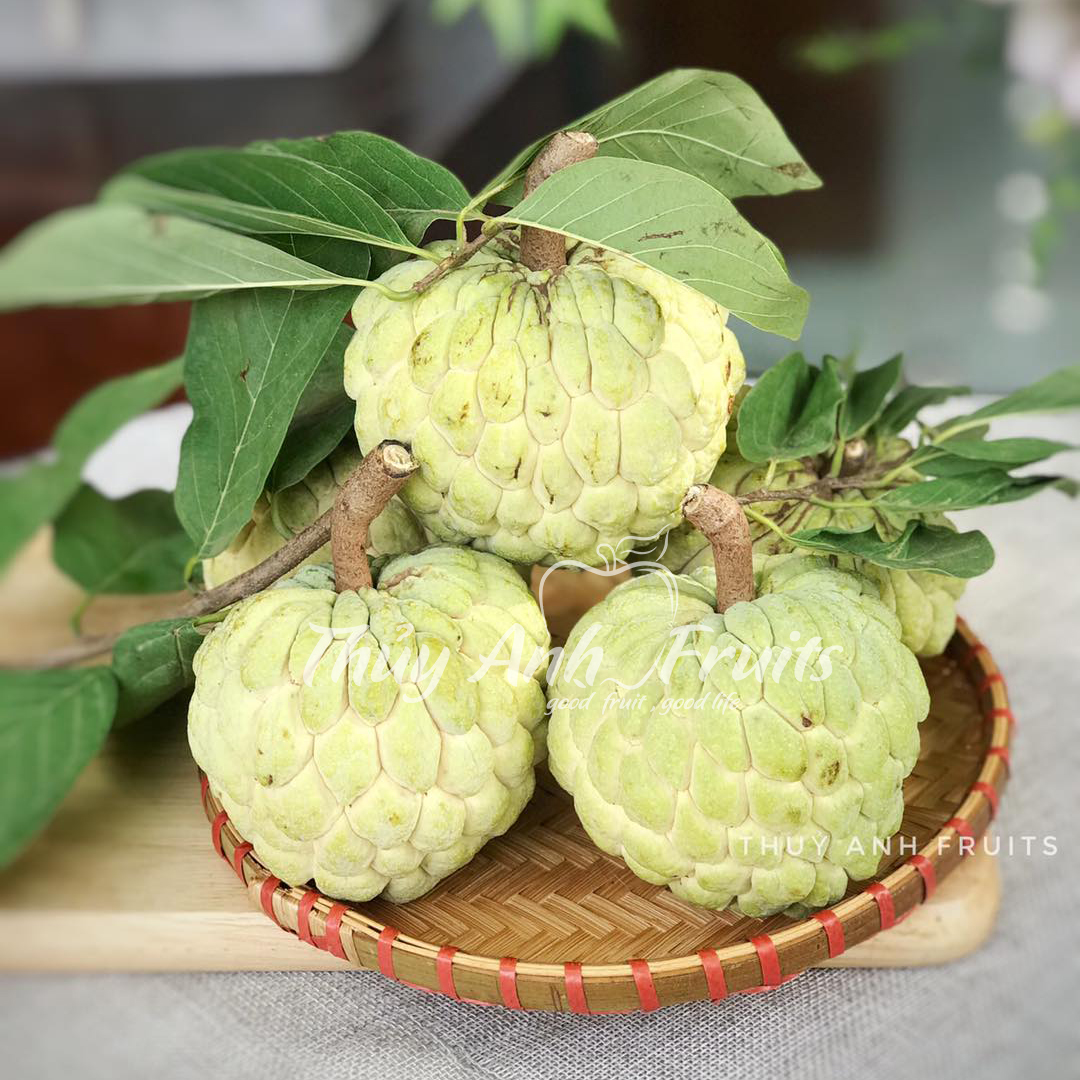 Hạt giống na dai Lạng Sơn( Mãng Cầu)(1gói 10 hạt)
