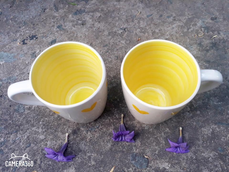 [HCM]Ly sứ hoa văn vàng