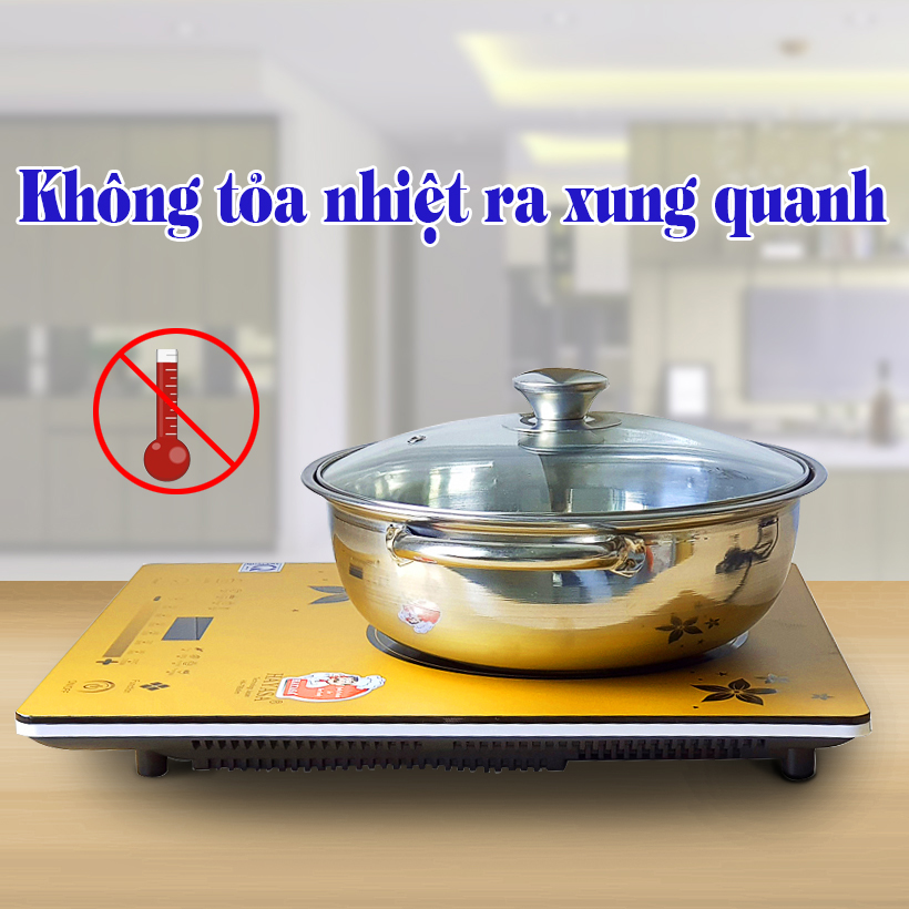 Bếp Điện Từ Hayasa Ha-790 Slim (Tặng Nồi Lẩu Inox Cao Cấp)