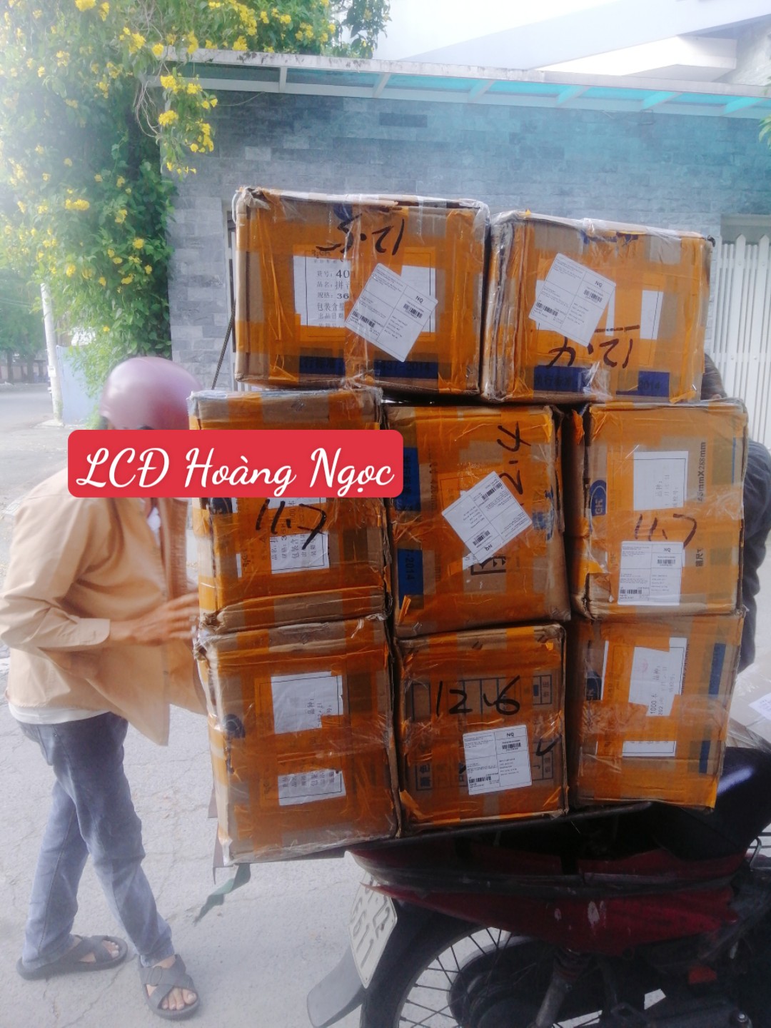 Phấn lục giác trắng - hộp 48 viên