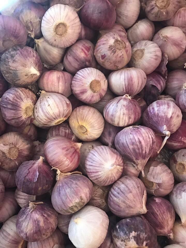 1kg Tỏi Cô Đơn Hàng Loại 1