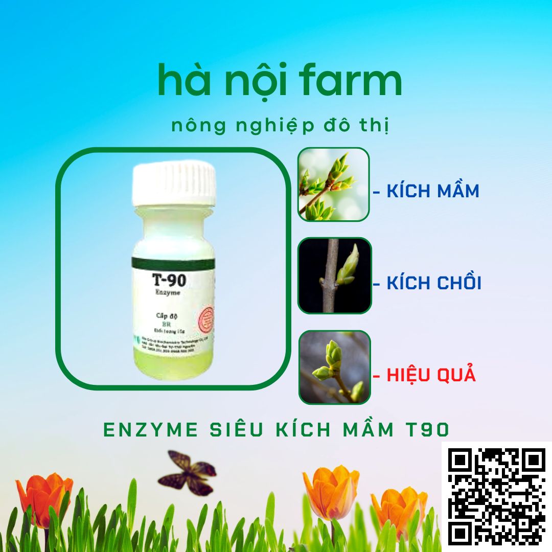 Size germ T90 genuine, sprout at will, on Sprout bristling, committed to effective 100%