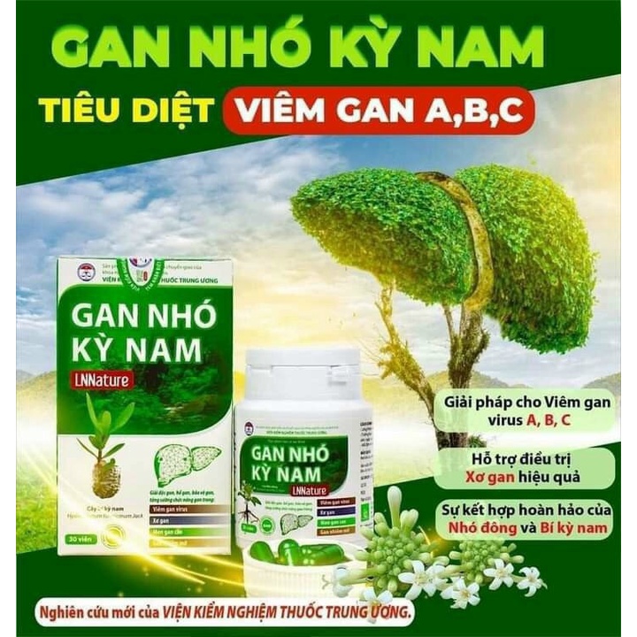 gan nhó kỳ nam - date mới 2026