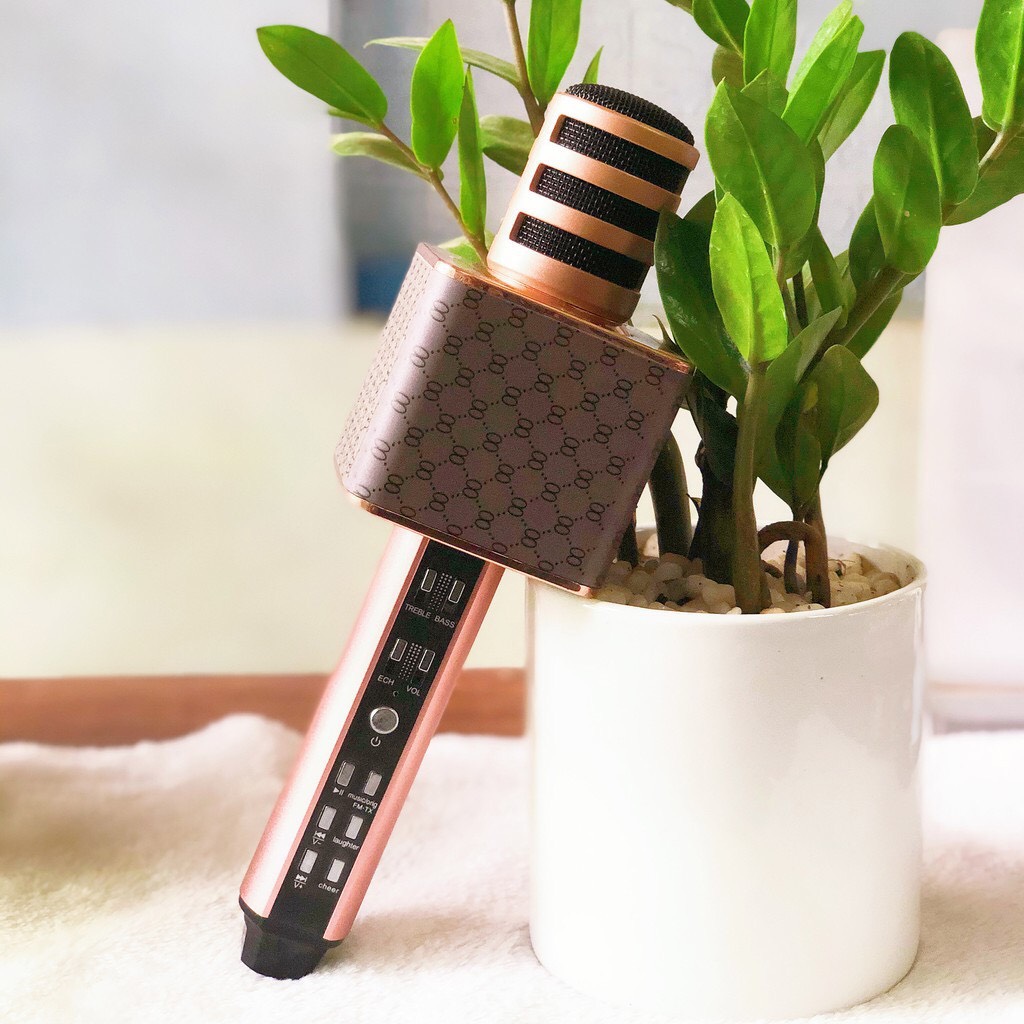 MICRO KARAOKE BLUETOOTH SD18 mới nhất cao cấp