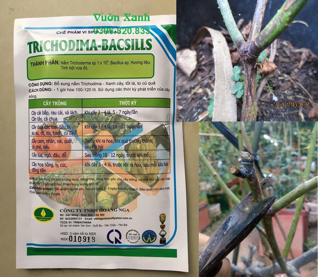 Combo 10 gói Nấm Trichoderma 100g