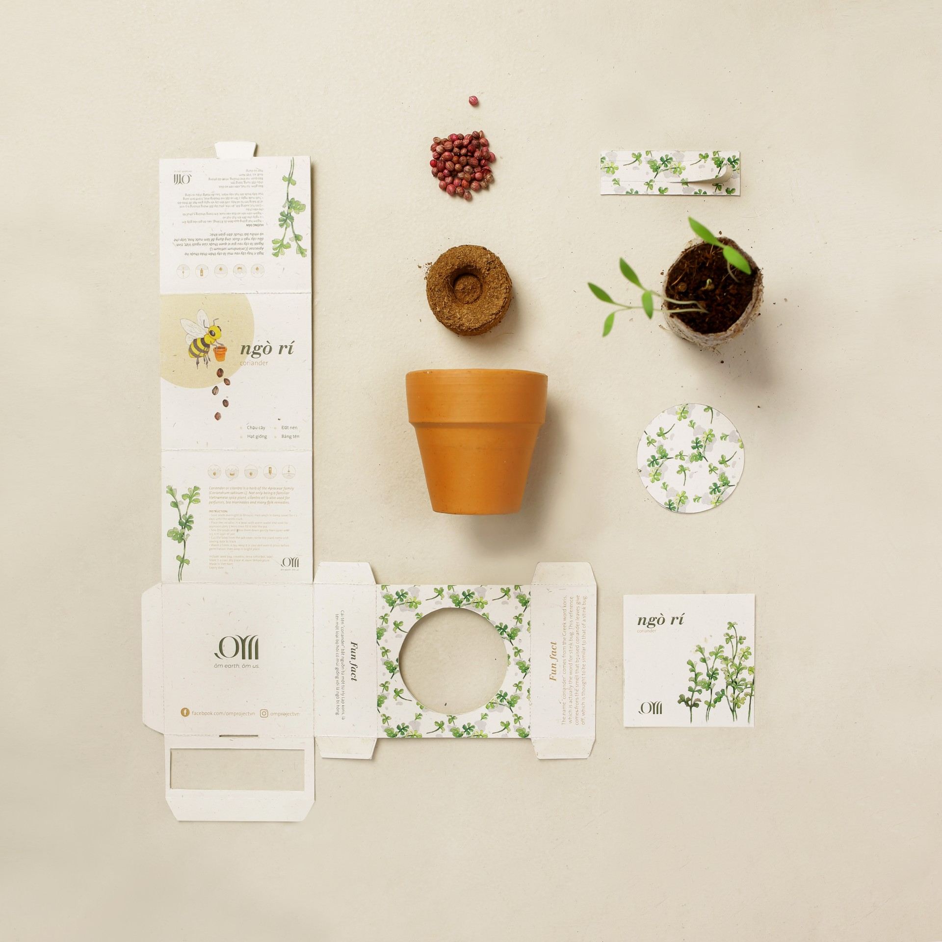 Kit Trồng Cây Mini - Bạc Hà