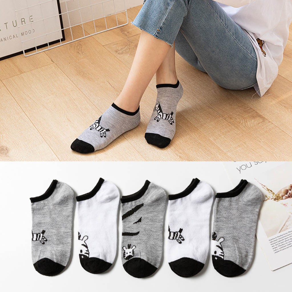 [Set Tất Vớ Nữ 5 Đôi] Tất Vớ Nữ Thun Cotton Con Lừa Buta TN02