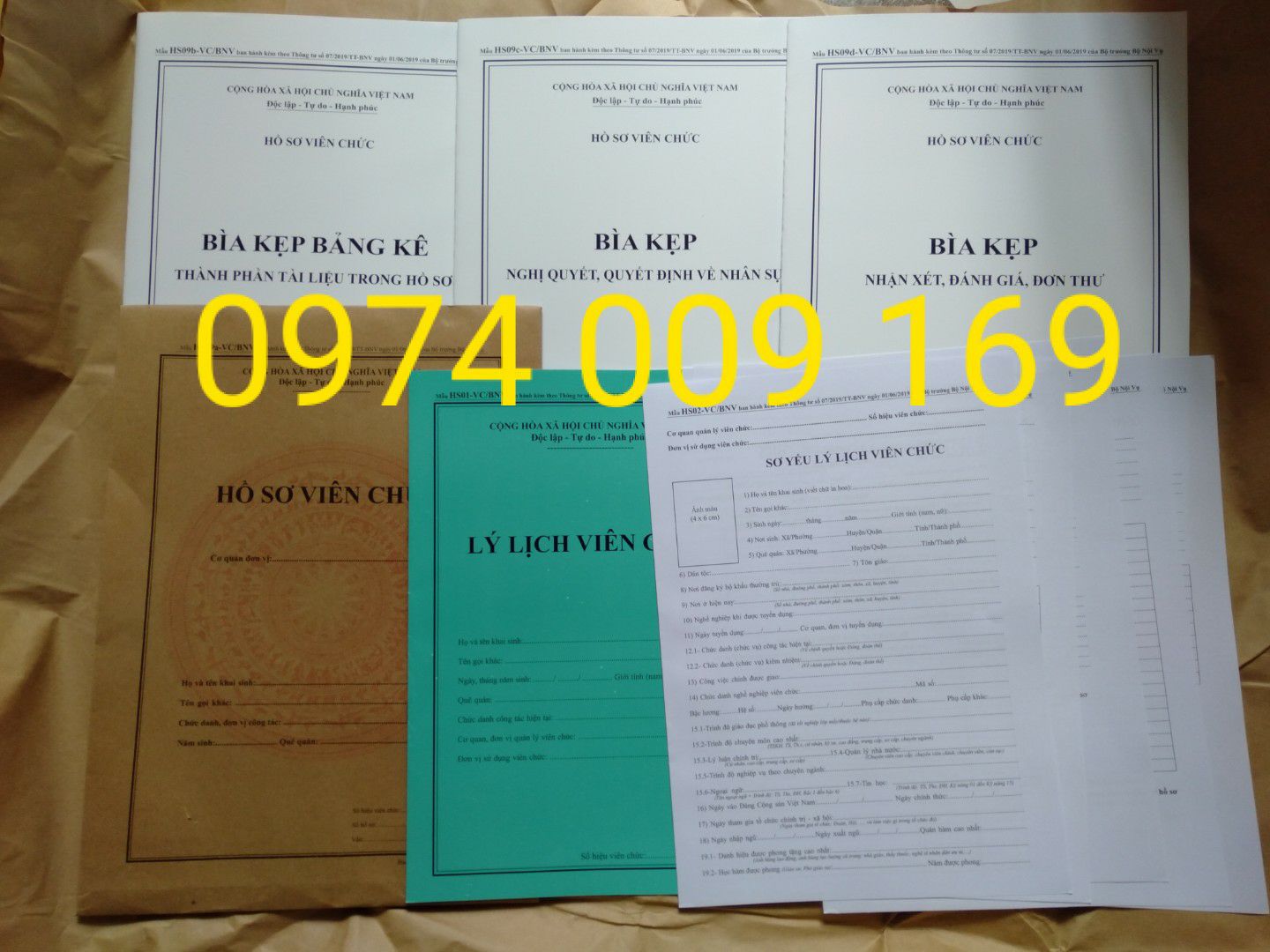 Hồ sơ viên chức ( combo10 bộ), chuẩn mẫu, chất liệu đẹp