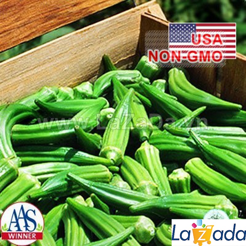 50gr hạt giống đậu bắp lùn cao sản clemson