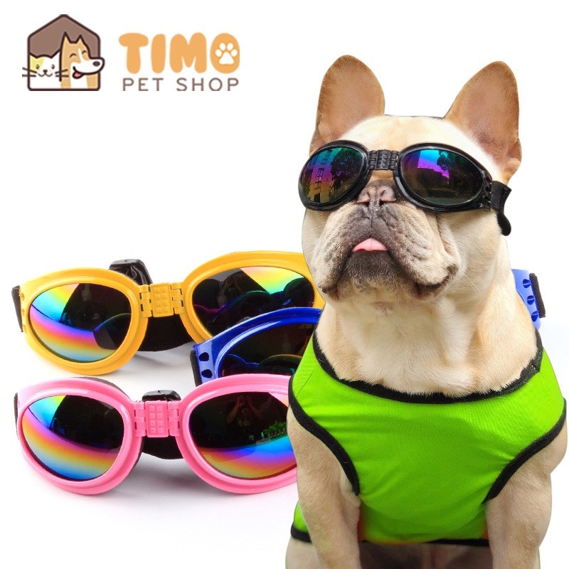 Kính mát cho chó - mắt kiếng thời trang cho cún thú cưng