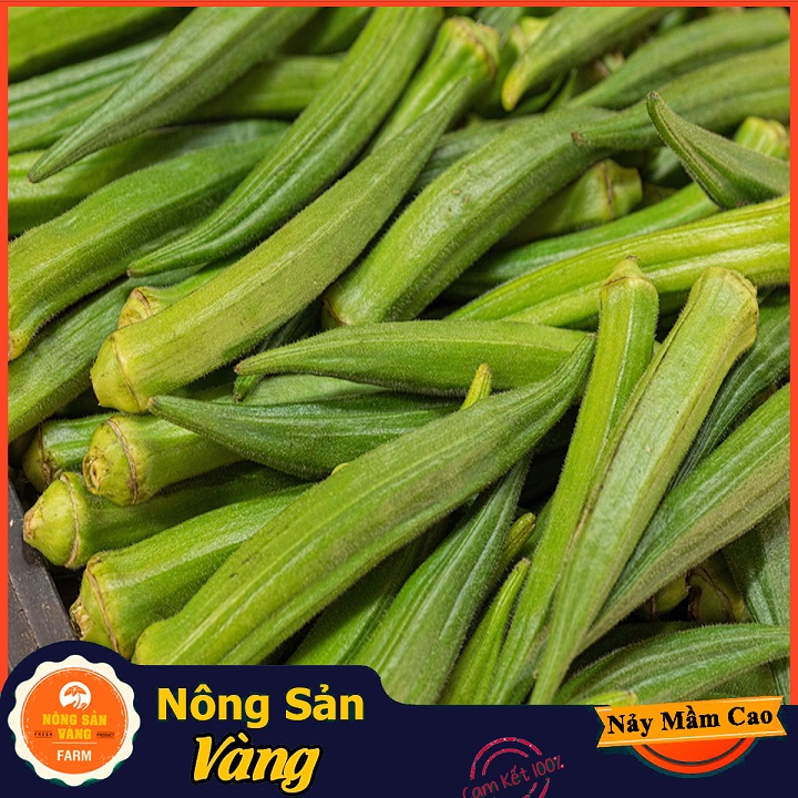 Chinese cabbage seed West (okra) good for bone joints and digestive system (package 20 grams)-shallow gold