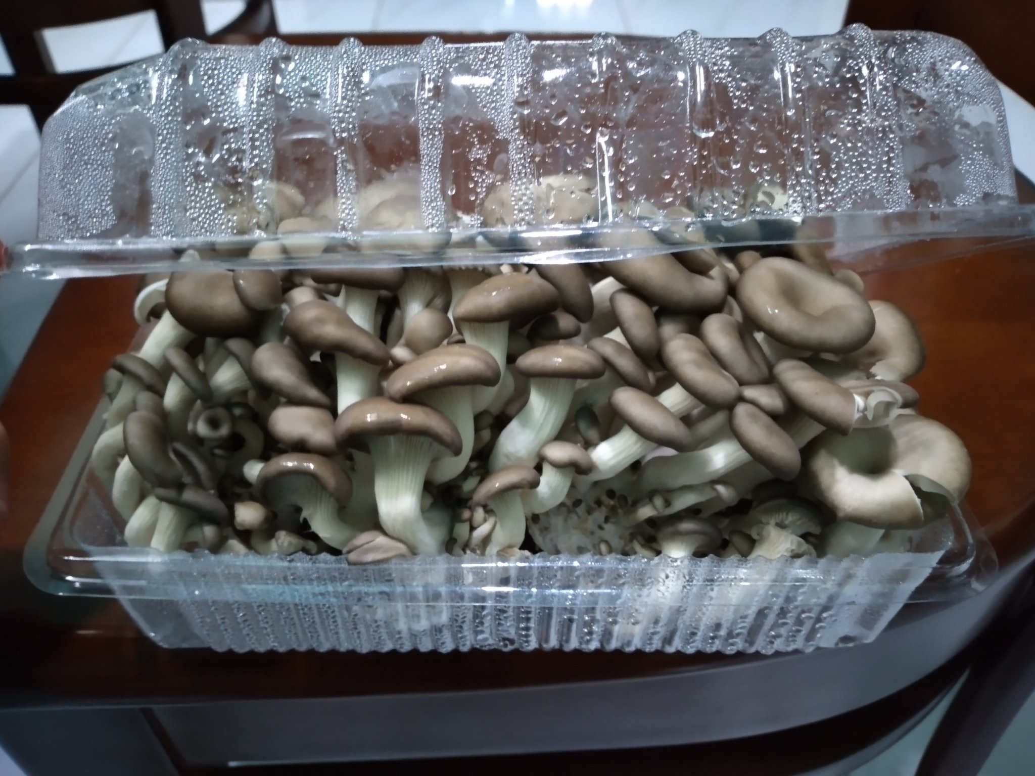 [HCM]Nấm Tiểu Yến tươi 300g