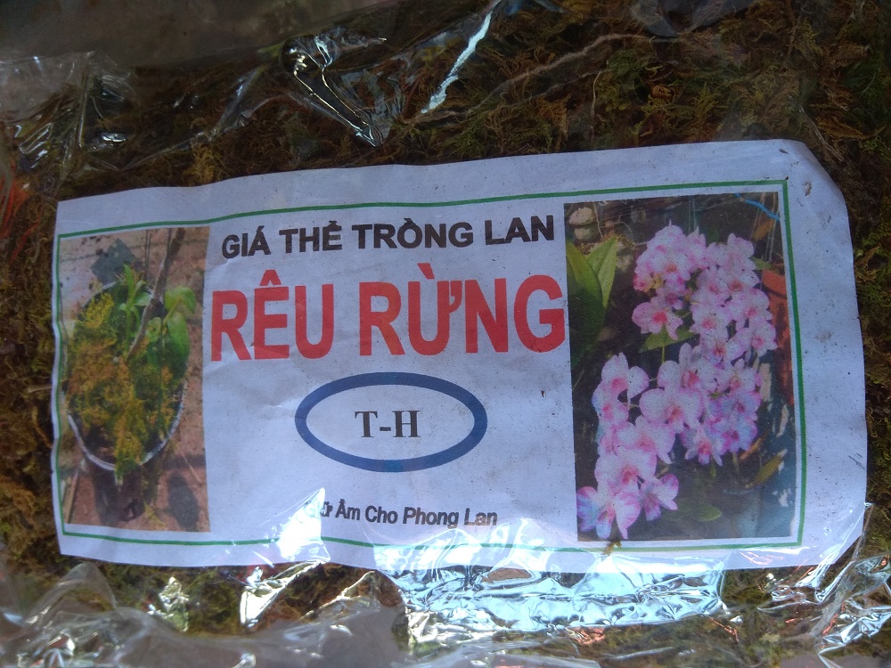 [HCM]Rêu rừng trồng lan - gói 100 gram