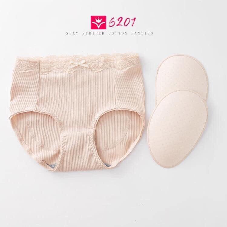 Quần độn mông cotton Nhật 6201