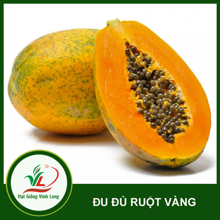 Hạt giống đu đủ ruột vàng Vĩnh Tường - 5 hạt
