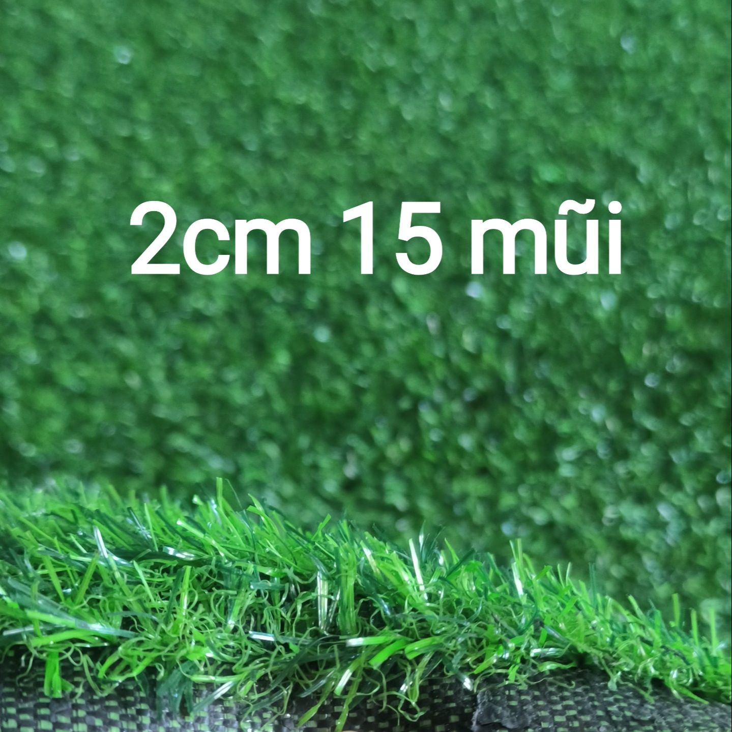 Thảm cỏ nhân tạo 2cm loại tốt (2cm 15 mũi, quý khách đọc kỹ mô tả)