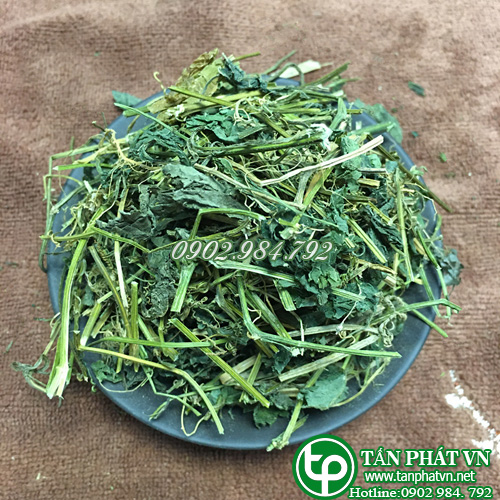 [HOT] Dây khổ qua rừng 1kg cao cấp - Hàng mới về chuyên dùng để pha trà và sắc nước uống