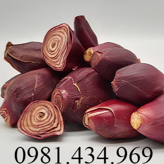 Sâm Đại Hành Củ -lz2
