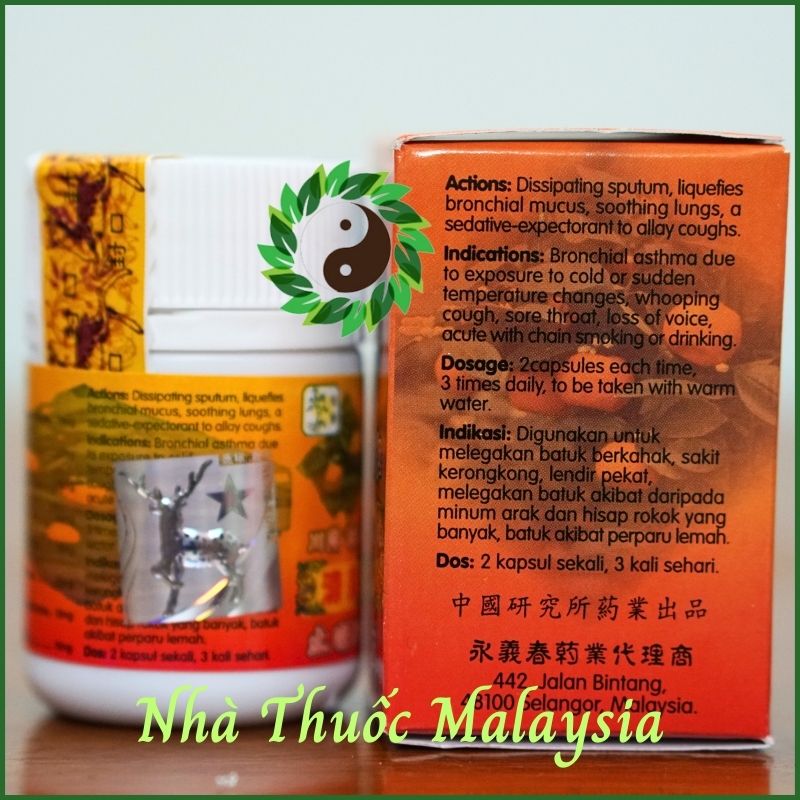 Seven leave ginseng, Malaysian eucalyptus tablets blister-bone joint support