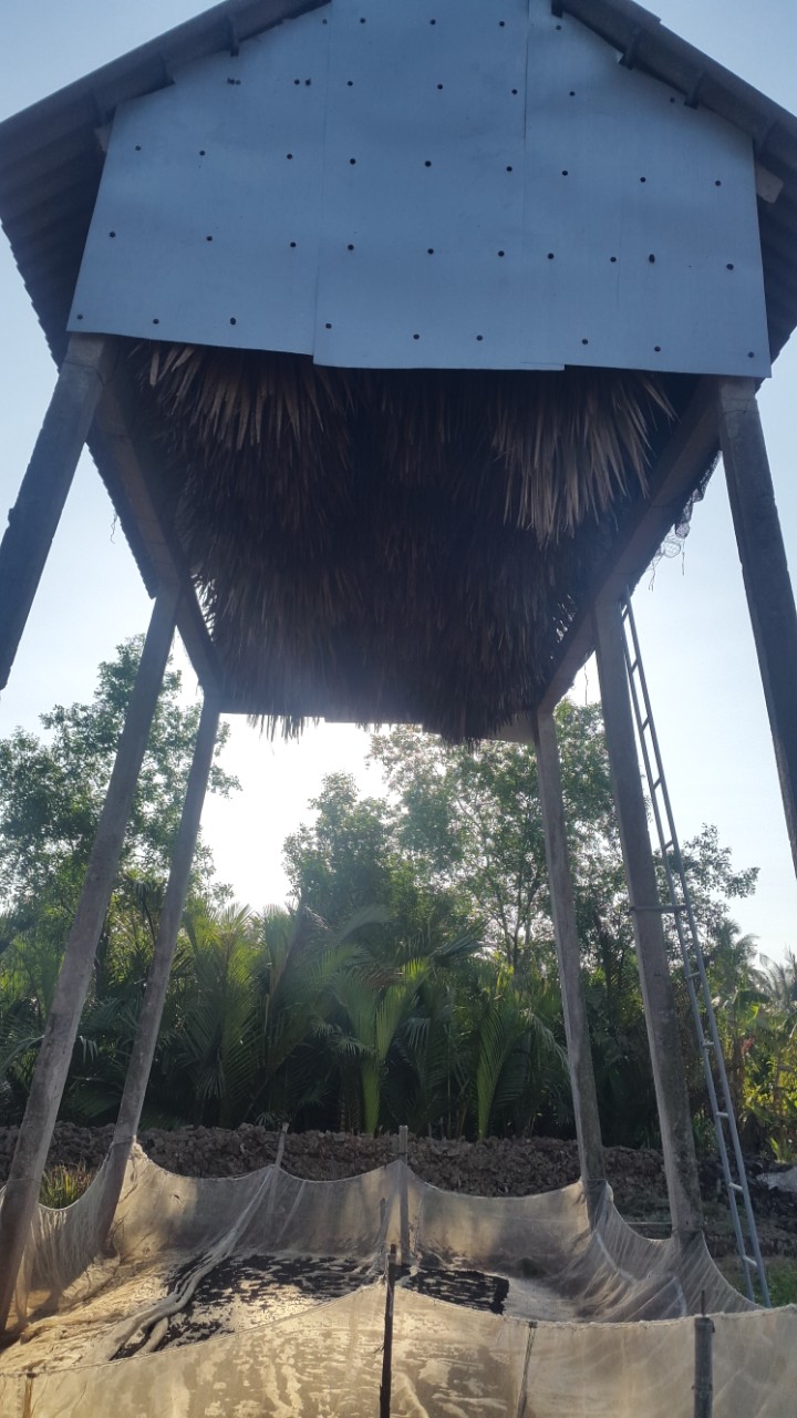 Phân Dơi Cầu Kè (Trà Vinh) nguyên chất 100%