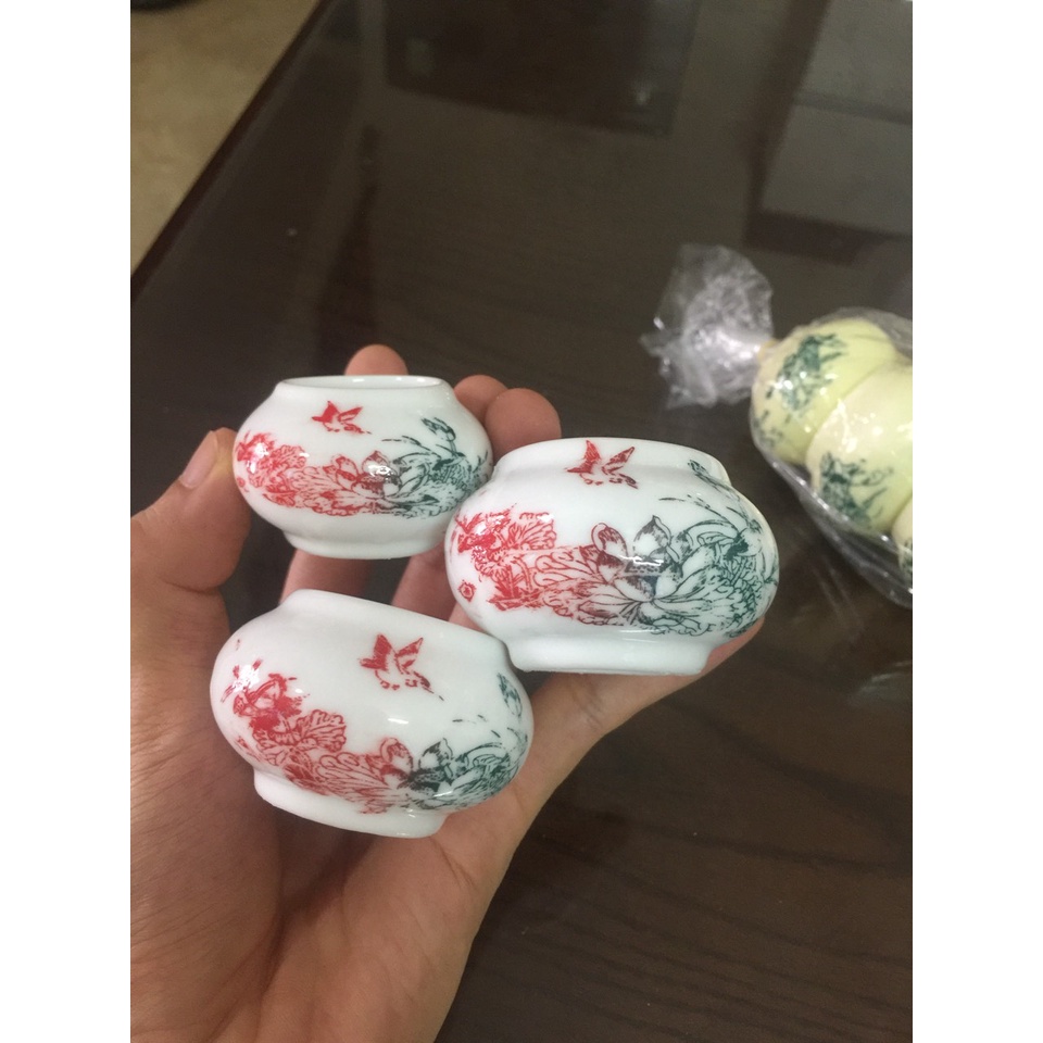Cóng chim chào mào, chòe than, chòe lửa, my, cóng chim rẻ đẹp