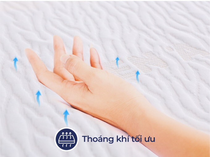 Nệm cao su thiên nhiên Liên Á Classic 160x200x10cm--Độ bền cao, thoáng khí tối ưu-Bảo hành 10 năm.