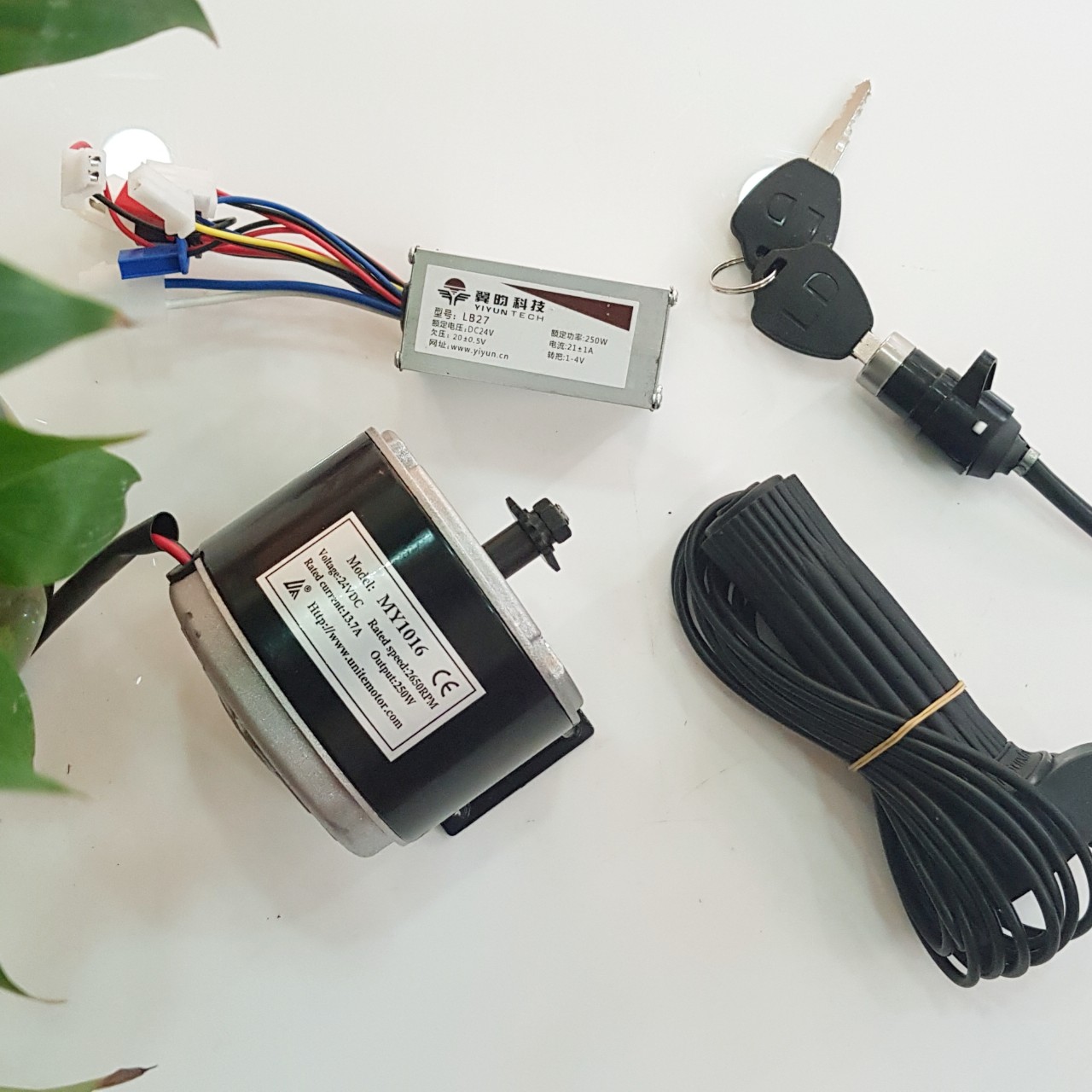 Combo bộ Động Cơ 24V250W chổi than chế xe điện