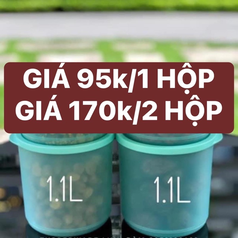 HỘP TRÒN 1.1L ROUNDSTAX TUPPERWARE VIỆT NAM