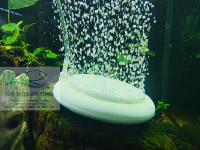 [HOÀN TIỀN 10%]ĐĨA SỦI ÔXY SIÊU MỊN HT-100