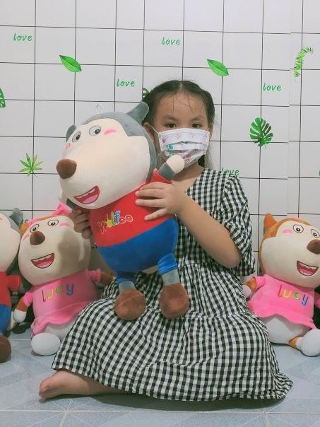 Sói Wolfoo & Lucy size lớn Gấu bông Miniso Thú bông hoạt hình Wolfoo & Lucy chính hãng mềm mịn - sản phẩm cam kết như hình