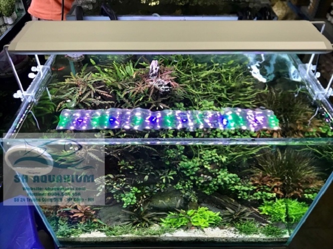 [HOÀN TIỀN 10%]ĐÈN RGB AQUABLUE DEE-818 DÀNH CHO BỂ 45CM- 55CM