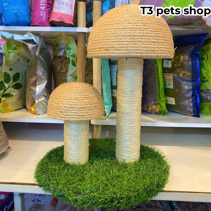 trụ mèo ( CAT TREE ) hình cây nấm dành cho bé iu - T3 PETS SHOP