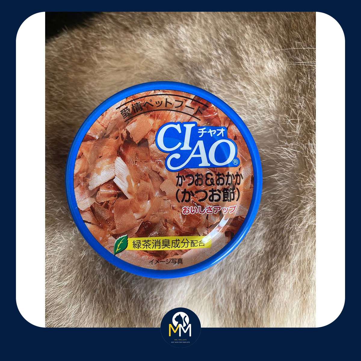 Pate thịt hộp Ciao cho mèo chán ăn