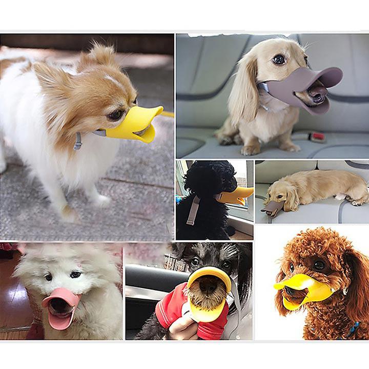 [HOÀN TIỀN 10%]Rọ mõm mỏ vịt silicon cho chó đi dạo - Cutepets