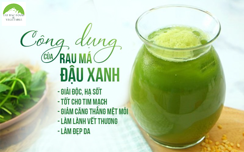 Bột rau má sấy lạnh nguyên chất uống liền