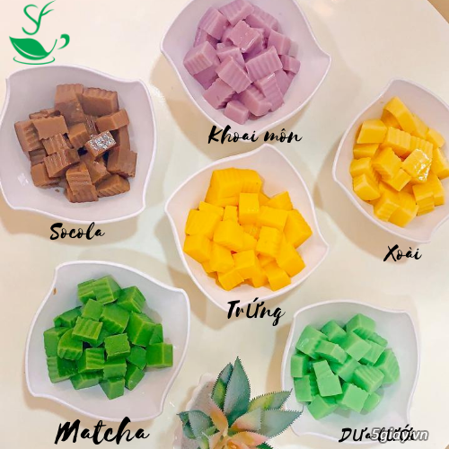 Pudding trứng, socola Mole - 100g