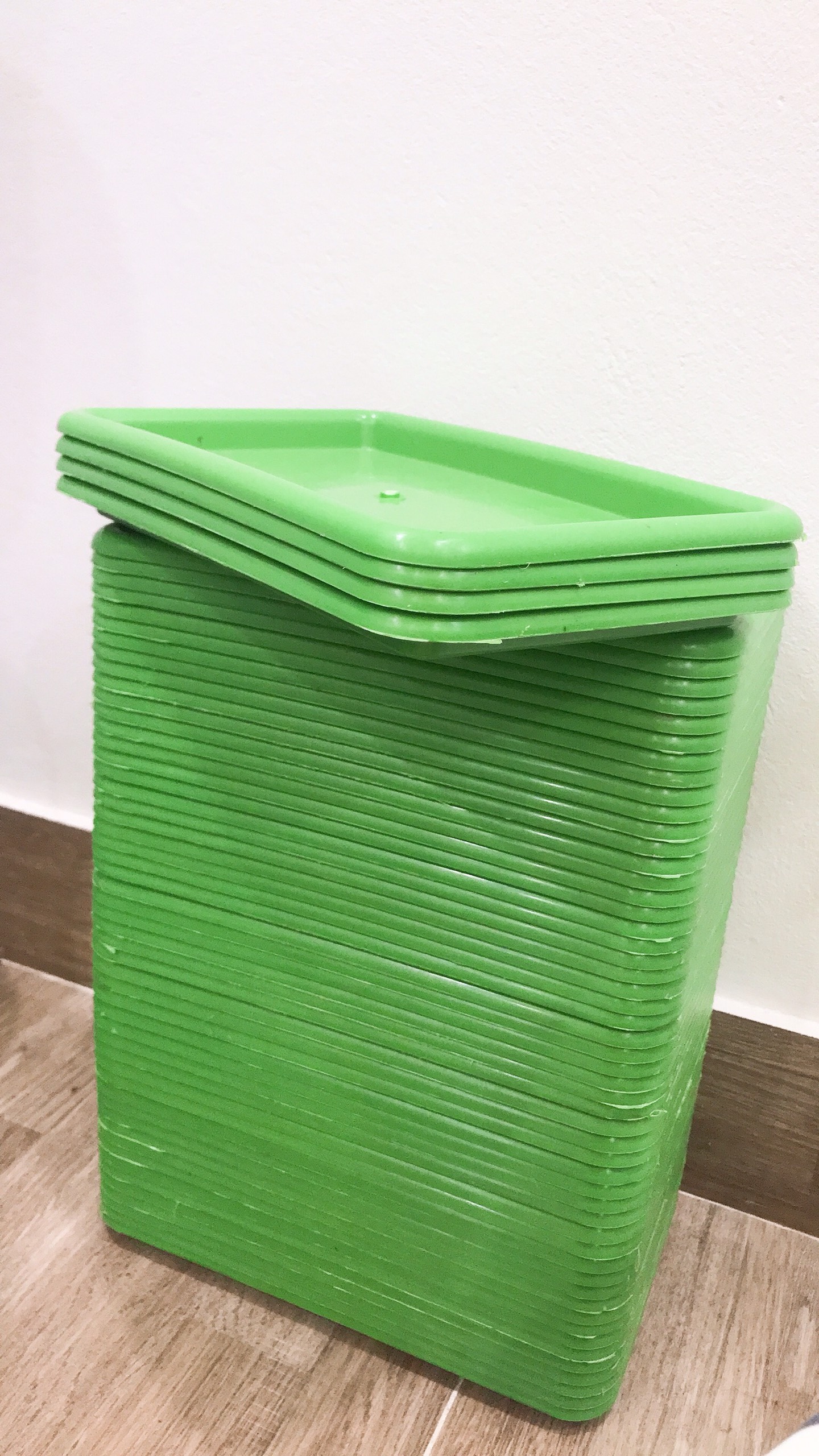 Tray plastic fruit-plastic tray rectangular đựng multifunction fruit