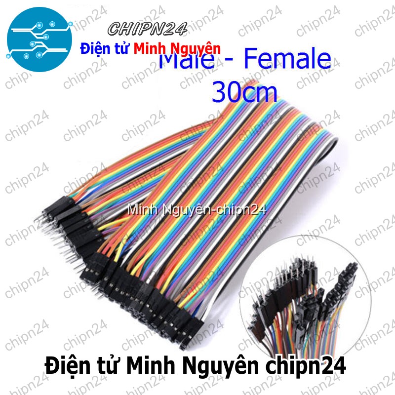 [20 sợi] (P72) Dây Cắm Test Board 30cm Đực-Cái - HH000203