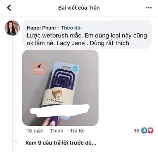 Lược chải tóc gỡ rối và massage LADY JAYNE, Úc