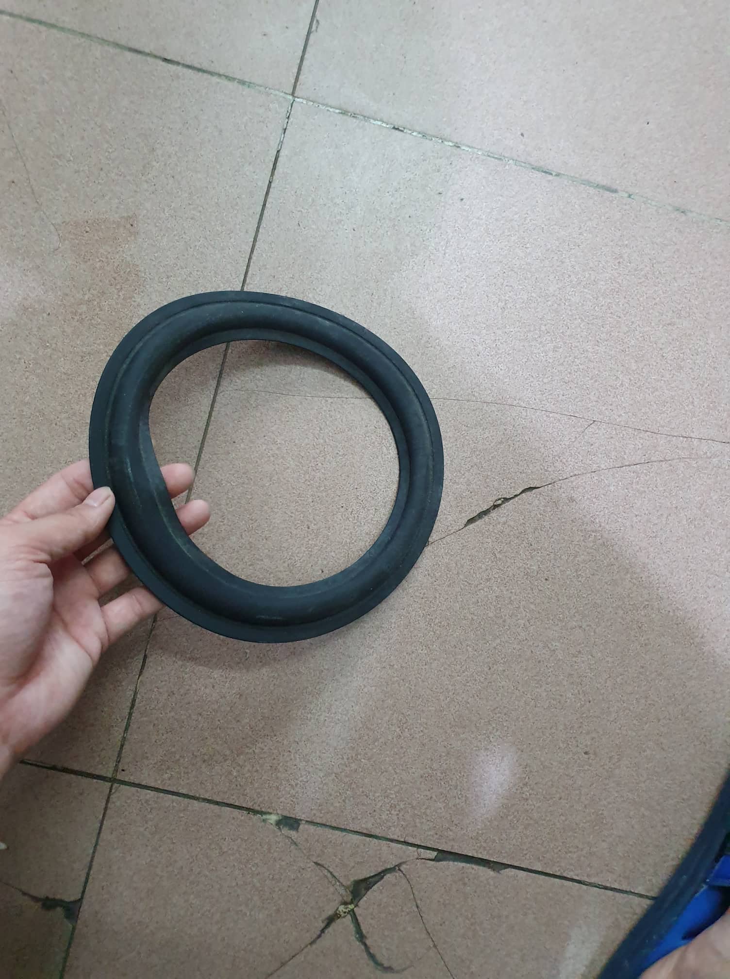 gân loa bass 20 cao su